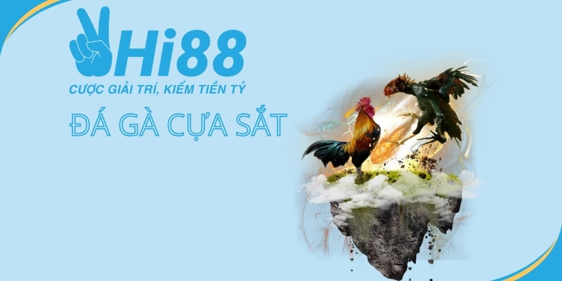 Sức hút từ đá gà Hi88